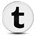 Twitter Icon